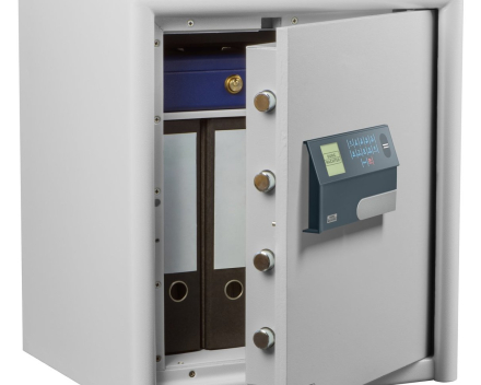 Dual-Safe DS 445 E FP