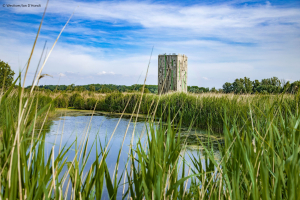 Appartementsdeur voor nieuwbouw Diksmuide